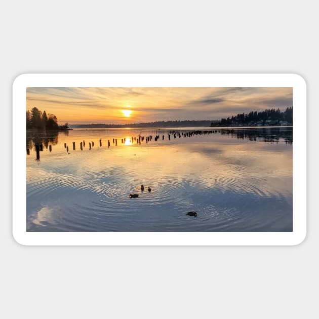 Peaceful Ducks at Golden Hour on Lake Washington Sticker by SeaChangeDesign